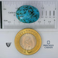 ITLGR_100831_SCALE.webp