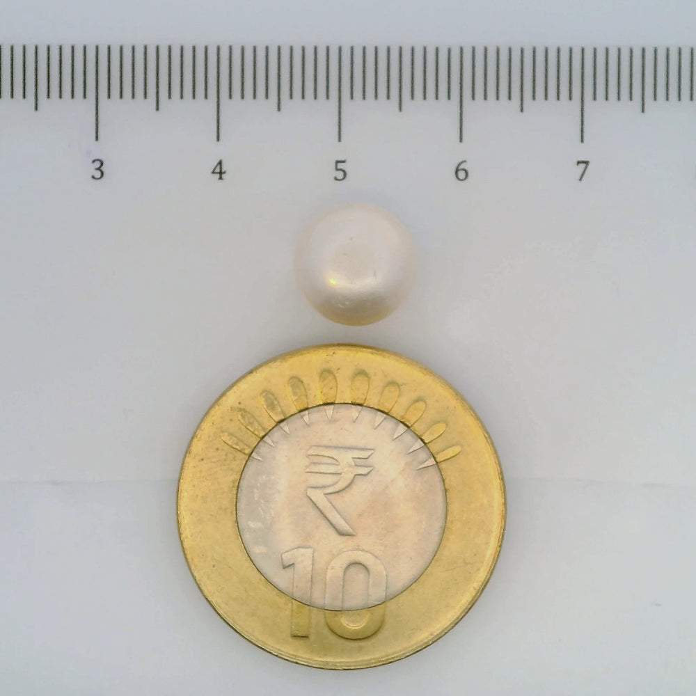 ITLGR_107040_SCALE.webp
