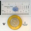 ITLGR_101049_SCALE.webp
