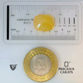 ITLGR_98887_SCALE.webp