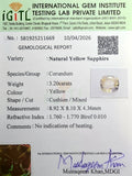 IGITL_211669_CERTIFICATE.webp