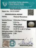 ITLGR_102087_CERTIFICATE.webp