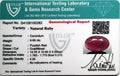 ITLGR_100282_CERTIFICATE.webp