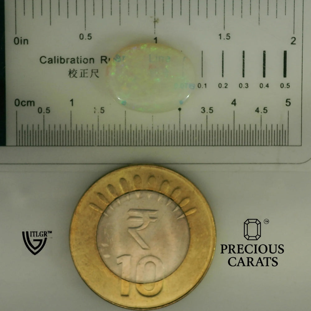 ITLGR_101982_SCALE.webp