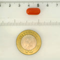 ITLGR_121357_SCALE.webp