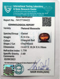 ITLGR_104422_CERTIFICATE.webp