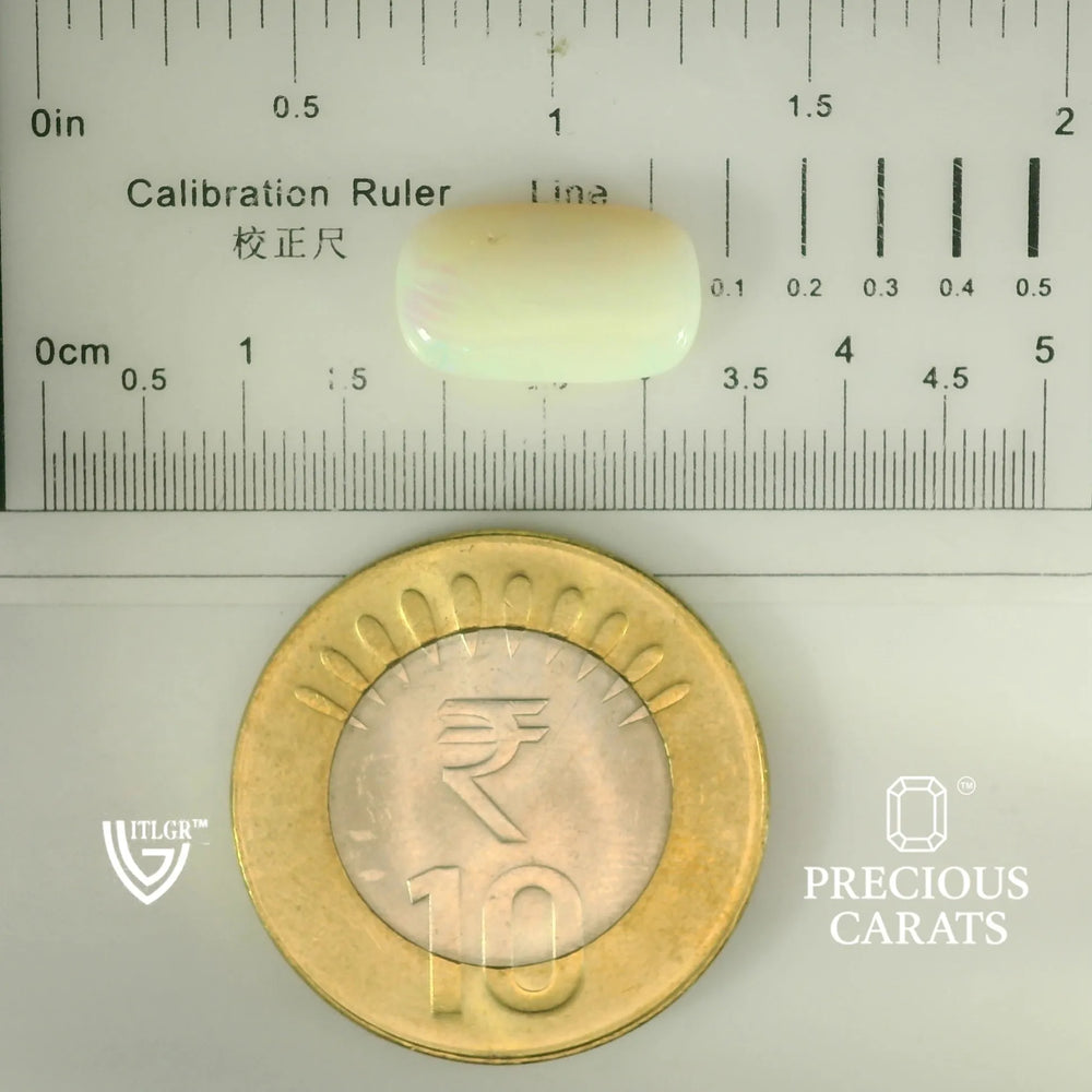 ITLGR_101867_SCALE.webp