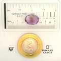 ITLGR_101589_SCALE.webp