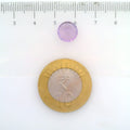 ITLGR_113069_SCALE.webp