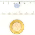 IGITL_211701_SCALE.webp