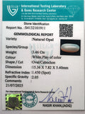 ITLGR_101911_CERTIFICATE.webp