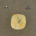 IGITL_200261_TOP.webp