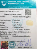 ITLGR_110003_CERTIFICATE.webp