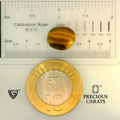 ITLGR_104457_SCALE.webp