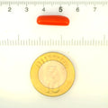 ITLGR_121329_SCALE.webp