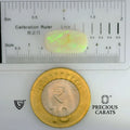 ITLGR_102009_SCALE.webp