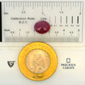 ITLGR_100306_SCALE.webp