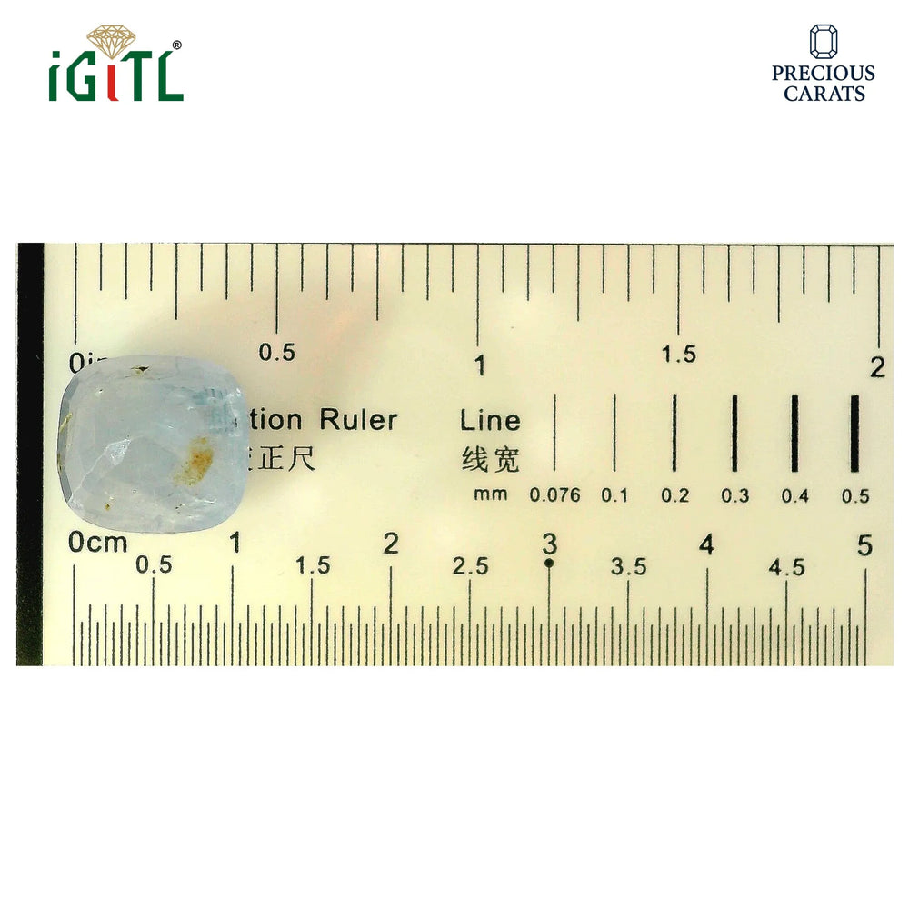 IGITL_194693_SCALE.webp