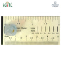 IGITL_194693_SCALE.webp