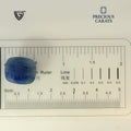 ITLGR_99030_SCALE.webp