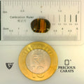 ITLGR_104450_SCALE.webp