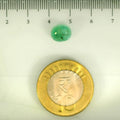 ITLGR_106881_SCALE.webp