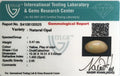 ITLGR_100525_CERTIFICATE.webp
