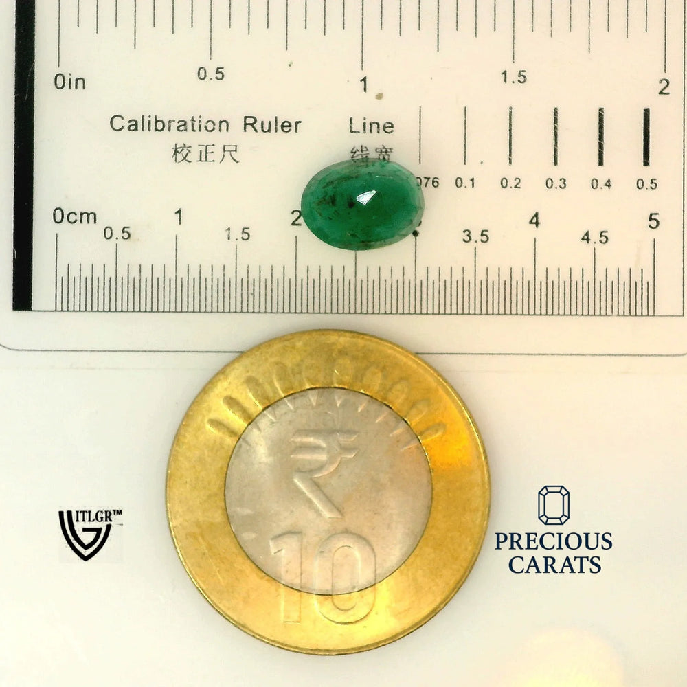 ITLGR_100265_SCALE.webp