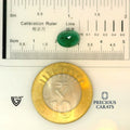 ITLGR_100265_SCALE.webp