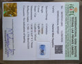 IGITL_211801_CERTIFICATE.webp