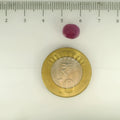 ITLGR_112892_SCALE.webp