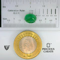 ITLGR_102147_SCALE.webp