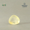 IGITL_200290_FRONT.webp