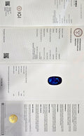 IGI_766654094_CERTIFICATE.webp