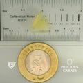 ITLGR_101901_SCALE.webp