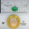 ITLGR_102133_SCALE.webp