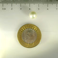 ITLGR_99854_SCALE.webp