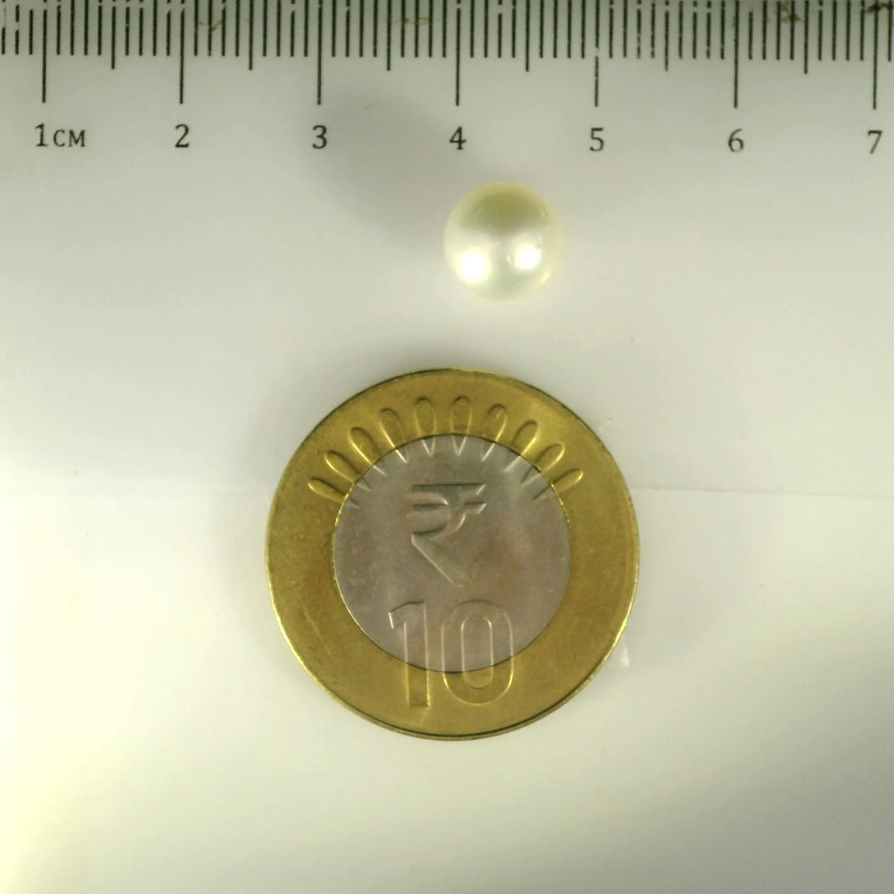 ITLGR_99853_SCALE.webp