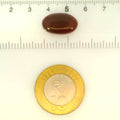 ITLGR_121474_SCALE.webp