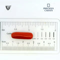 ITLGR_99881_SCALE.webp