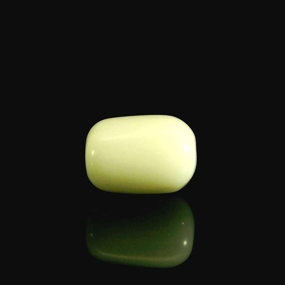 ITLGR_102038_FRONT.webp