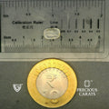 ITLGR_100364_SCALE.webp