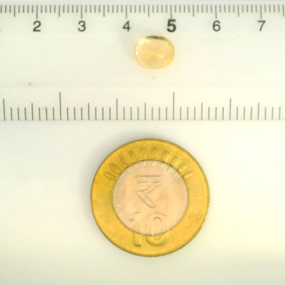 IGITL_200205_SCALE.webp