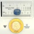 ITLGR_99009_SCALE.webp
