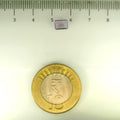ITLGR_113234_SCALE.webp