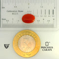 ITLGR_104530_SCALE.webp