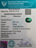 ITLGR_113218_CERTIFICATE.webp