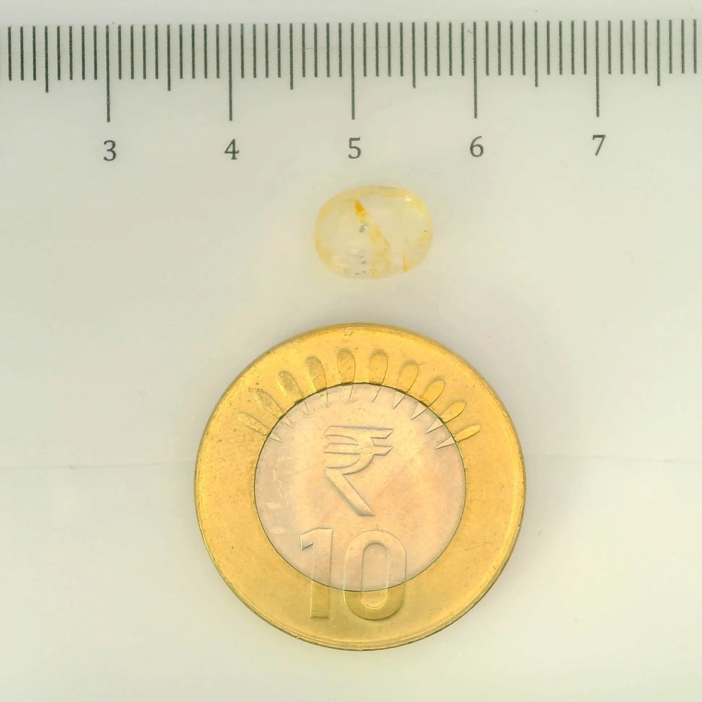 IGITL_200264_SCALE.webp