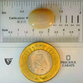 ITLGR_99895_SCALE.webp