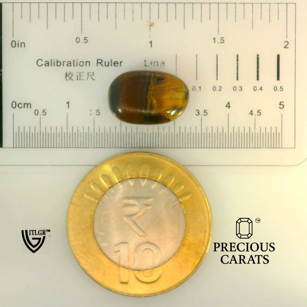 ITLGR_104456_SCALE.webp